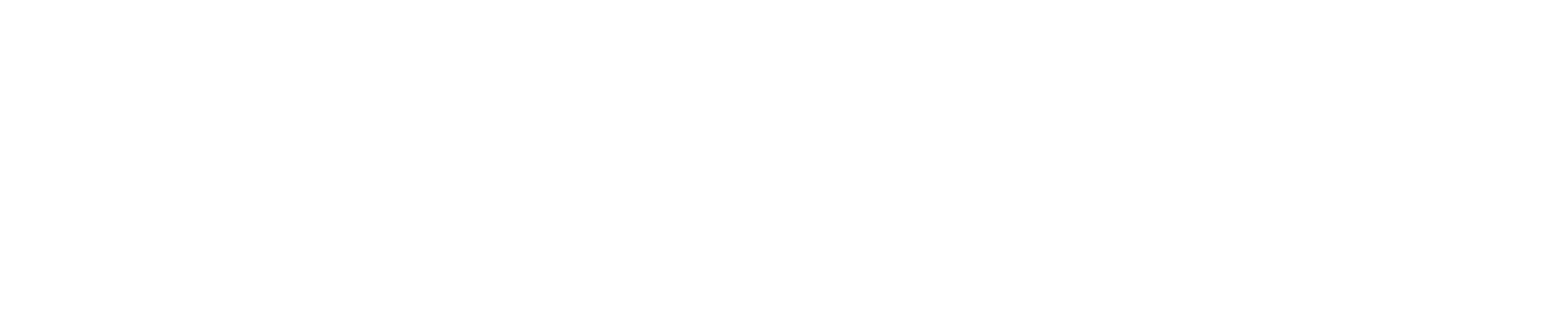Burgdirect Logo