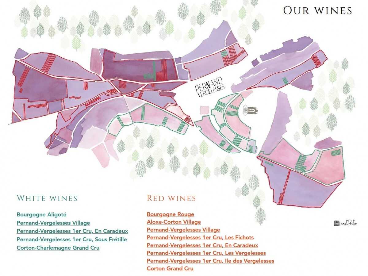209-Our_Wines_map.JPG