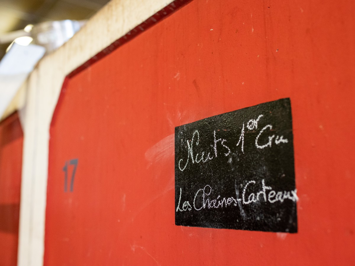288-PAQUOT_vendanges_2019_(171).jpg