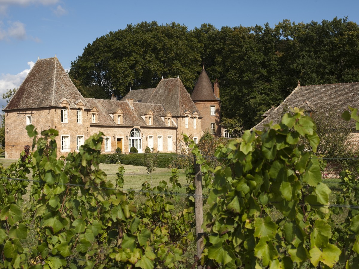 299-vineyard_chateau_de_laborde_143.jpg
