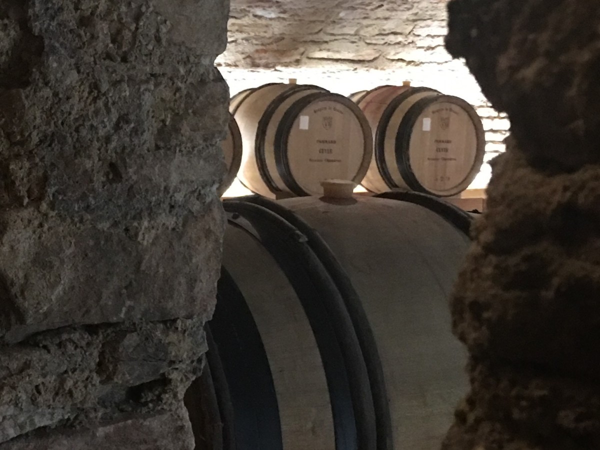 314-Cellar_through_walls_landscape.jpg