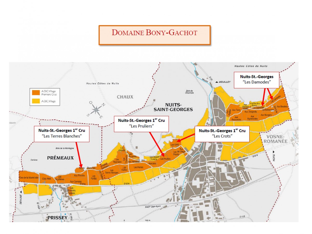 318-Vignoble_du_Domaine.PNG