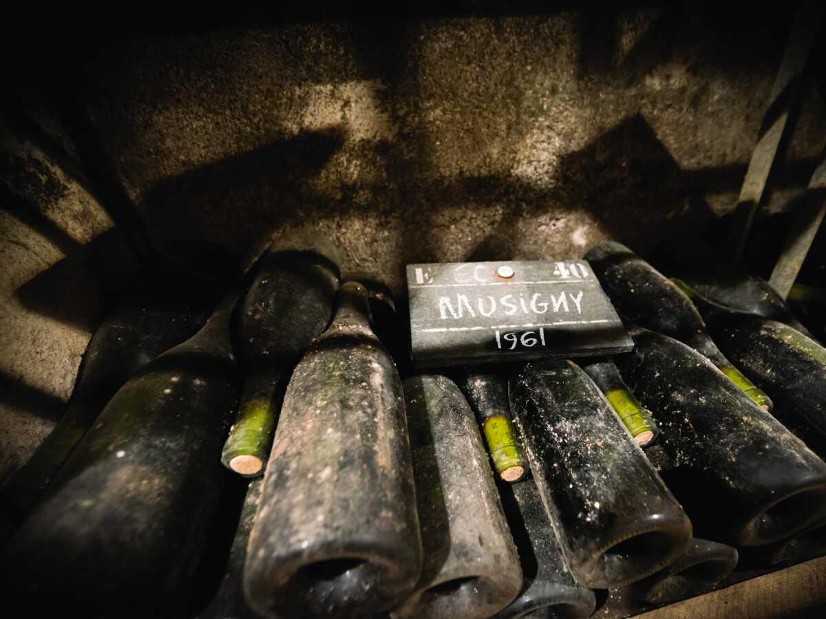 321-caves-albert-bichot_1473685868.jpg