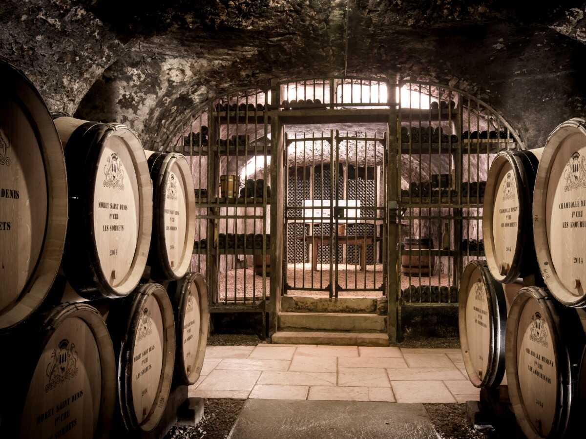 321-domaine-du-clos-frantin-albert-bichot-4_1540281656.jpg