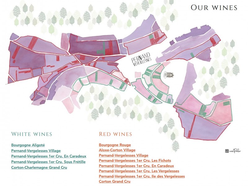 25-Our_Wines_map.JPG