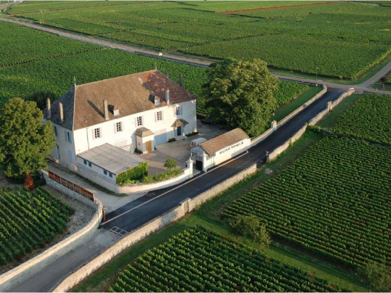 26-The_Chateau_and_vineyards.JPG